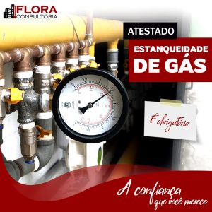 Gás_FEED_FLORA_2020